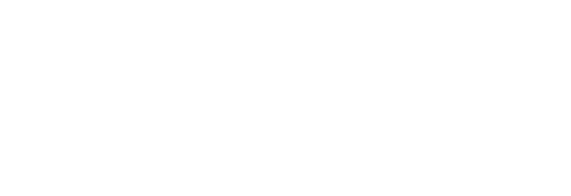 Partner Siemens logo